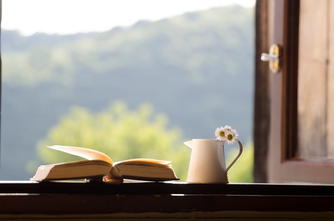 Open window - Blurred photo - Nature or Education background.